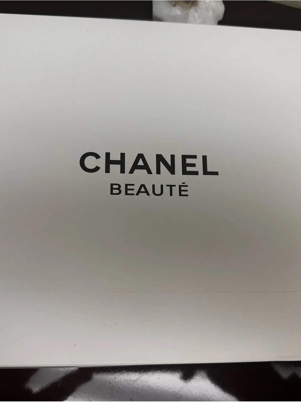 CHANEL Brown and White Woven Cosmetic Pouch with Logo